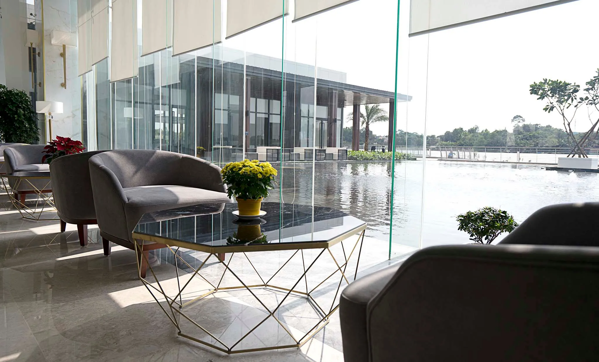 solid-daiphuoc-sale-23_1527143689_grande