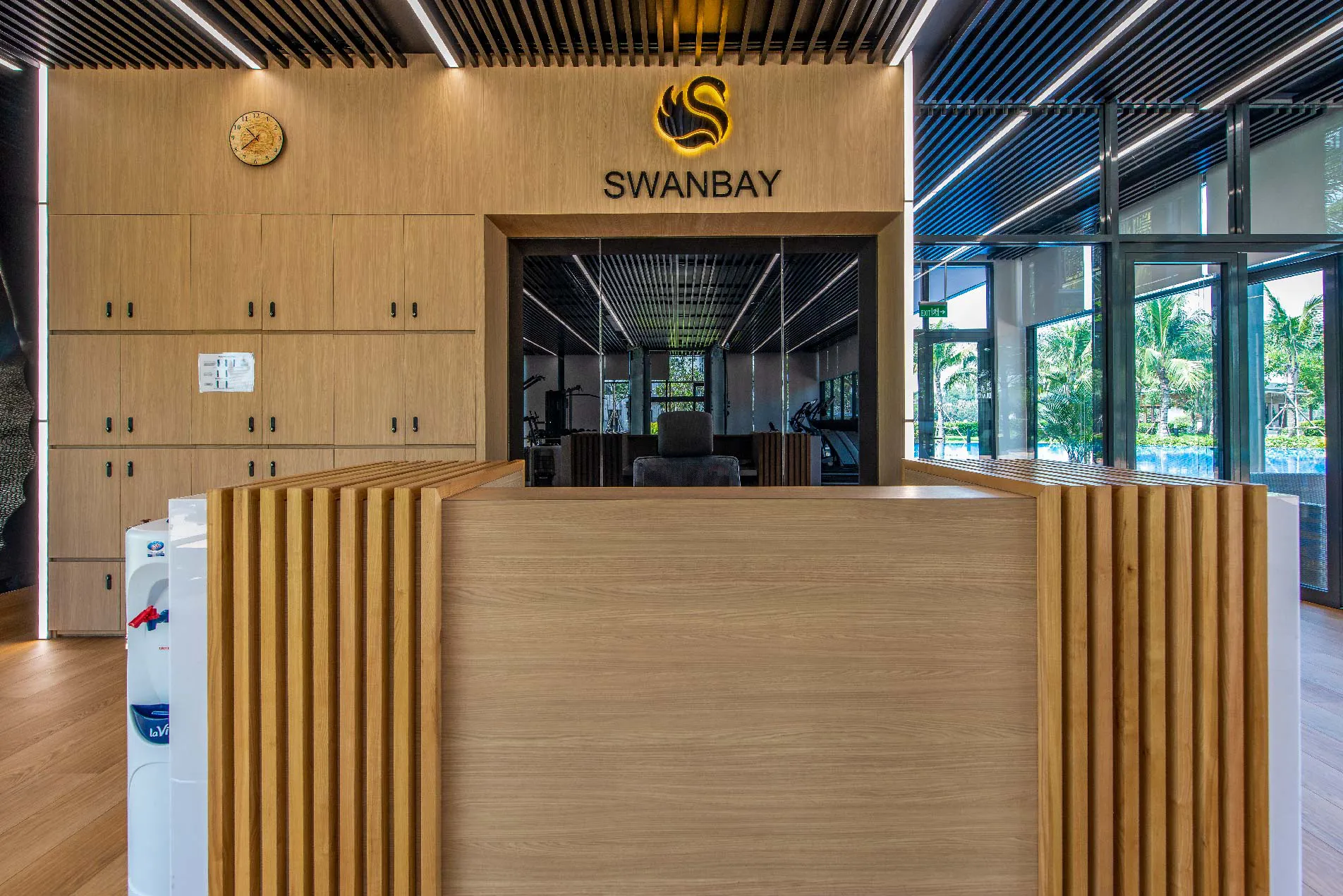 SwanBay_Solid_25