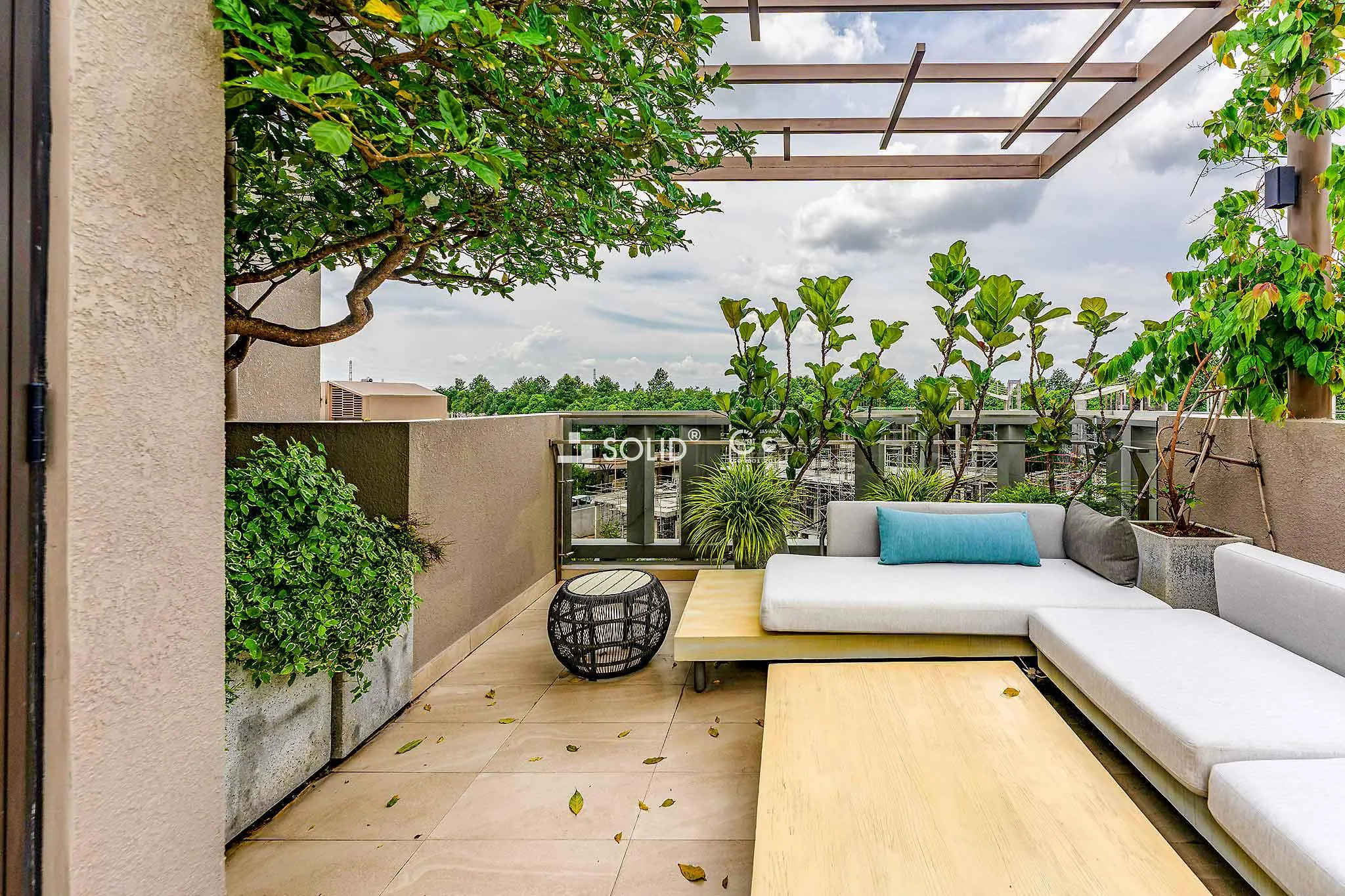 Sycamore-BD-By-Solid_Nha-pho-1_27