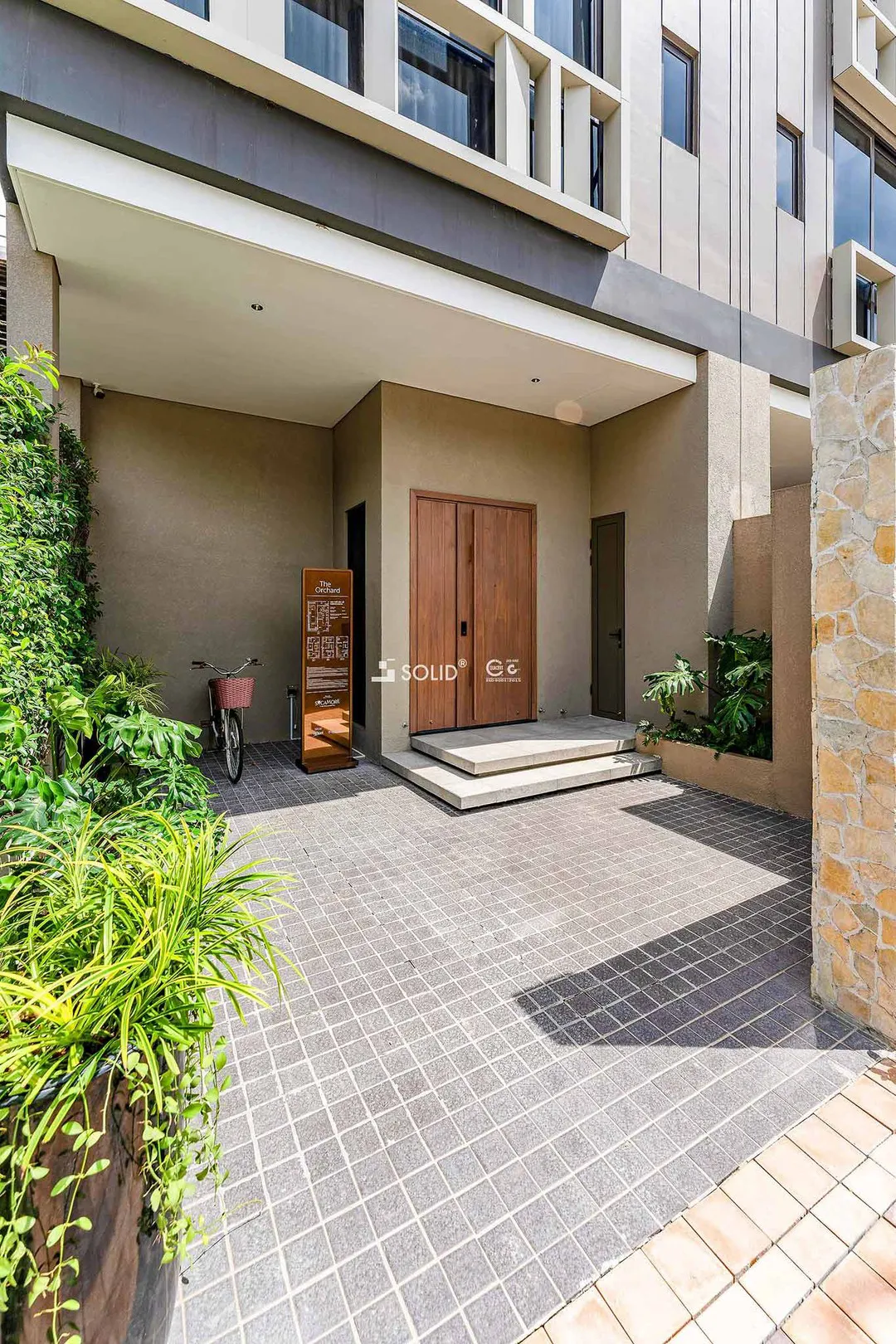 Sycamore-BD-By-Solid_Nha-pho-1_2