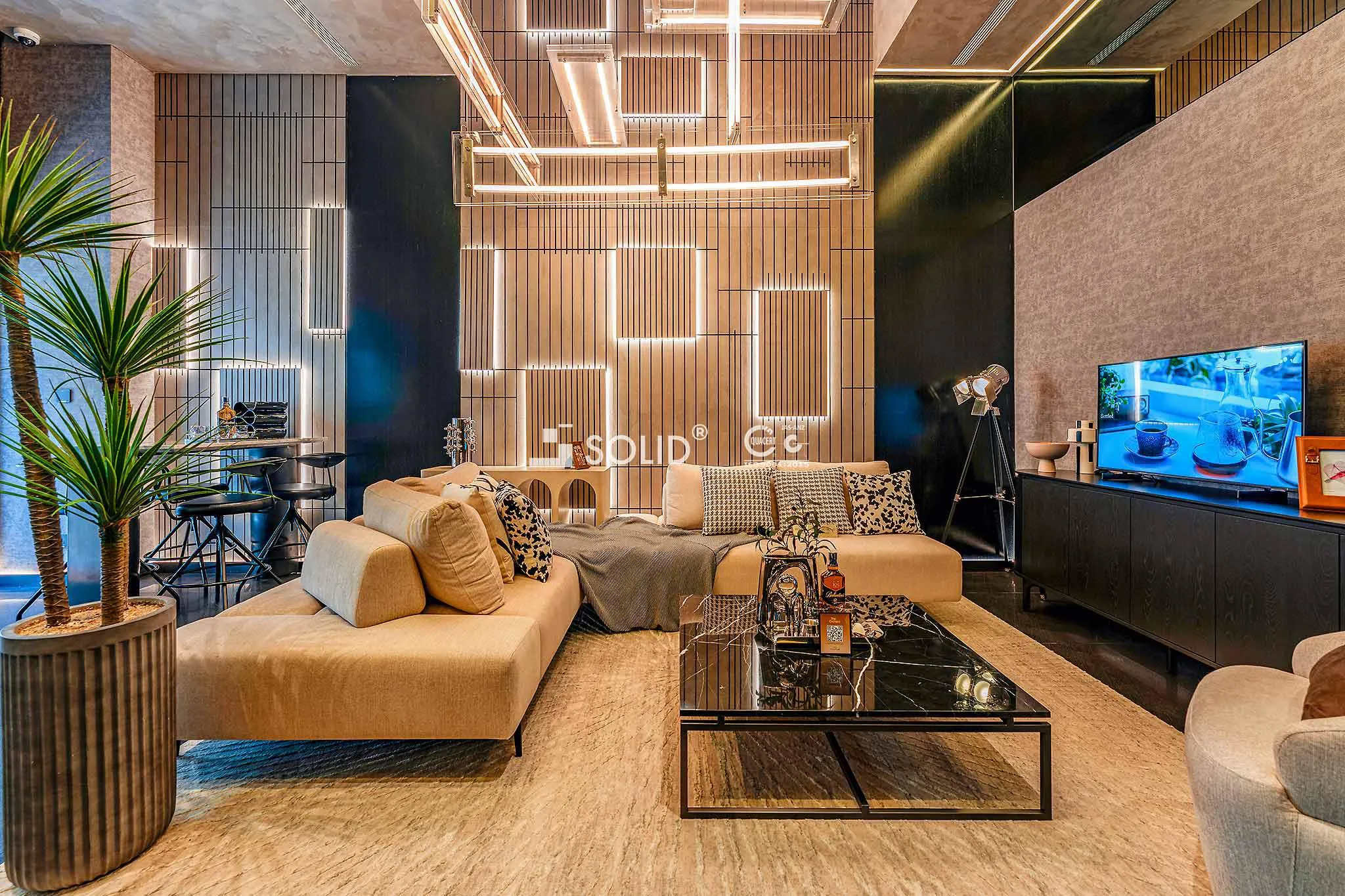 Sycamore-BD-By-Solid_Nha-pho-2_1