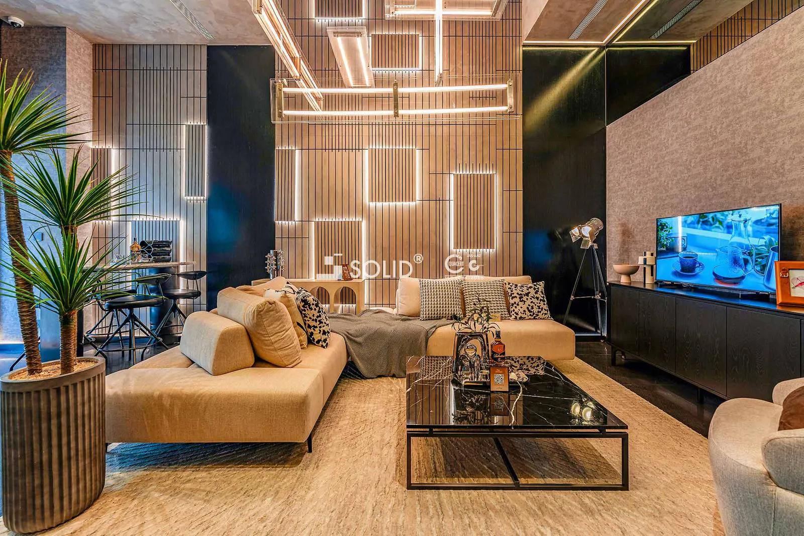 Sycamore-BD-By-Solid_Nha-pho-2_1