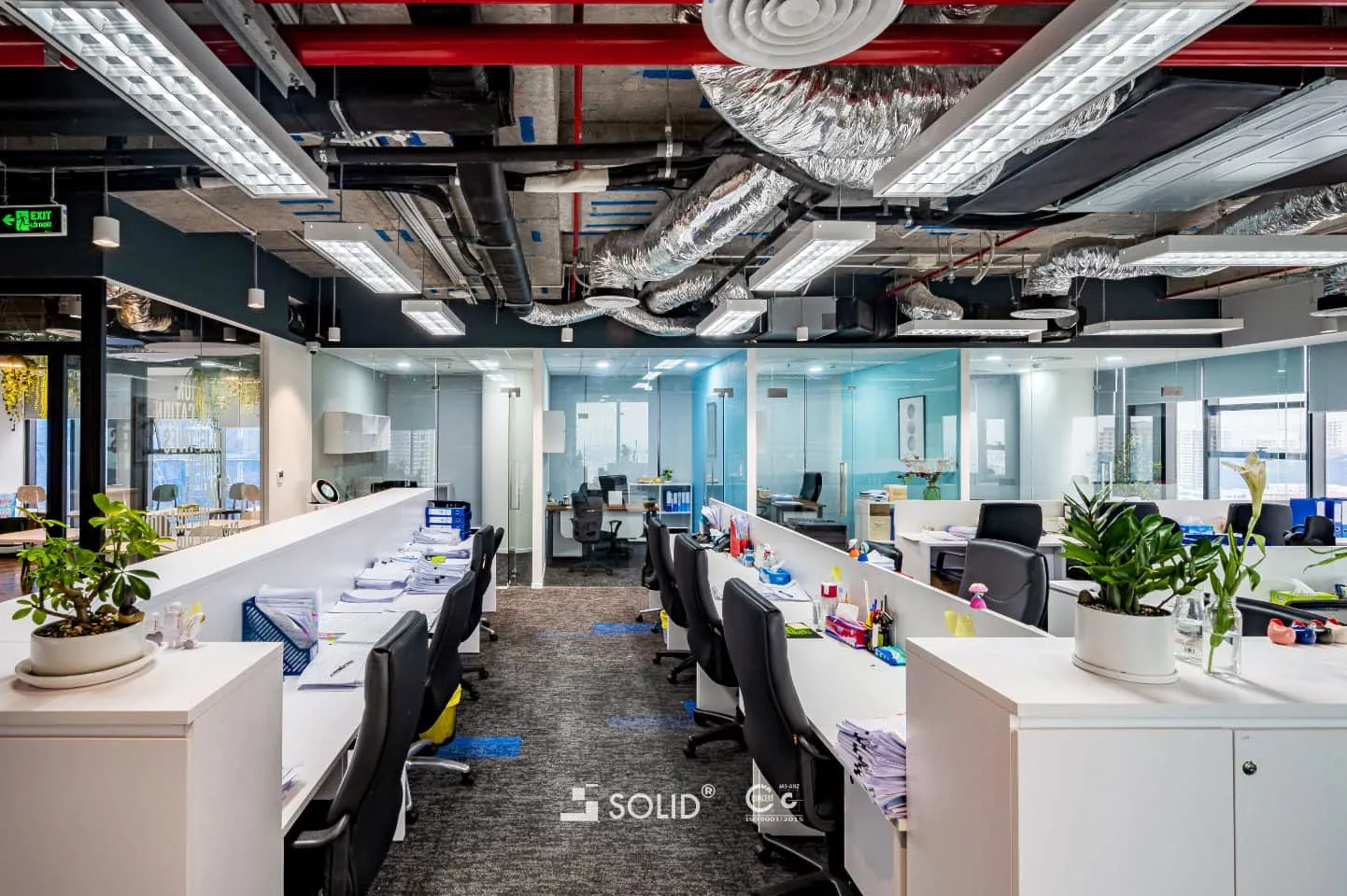 Vivi YinYang_SOLID 15_web