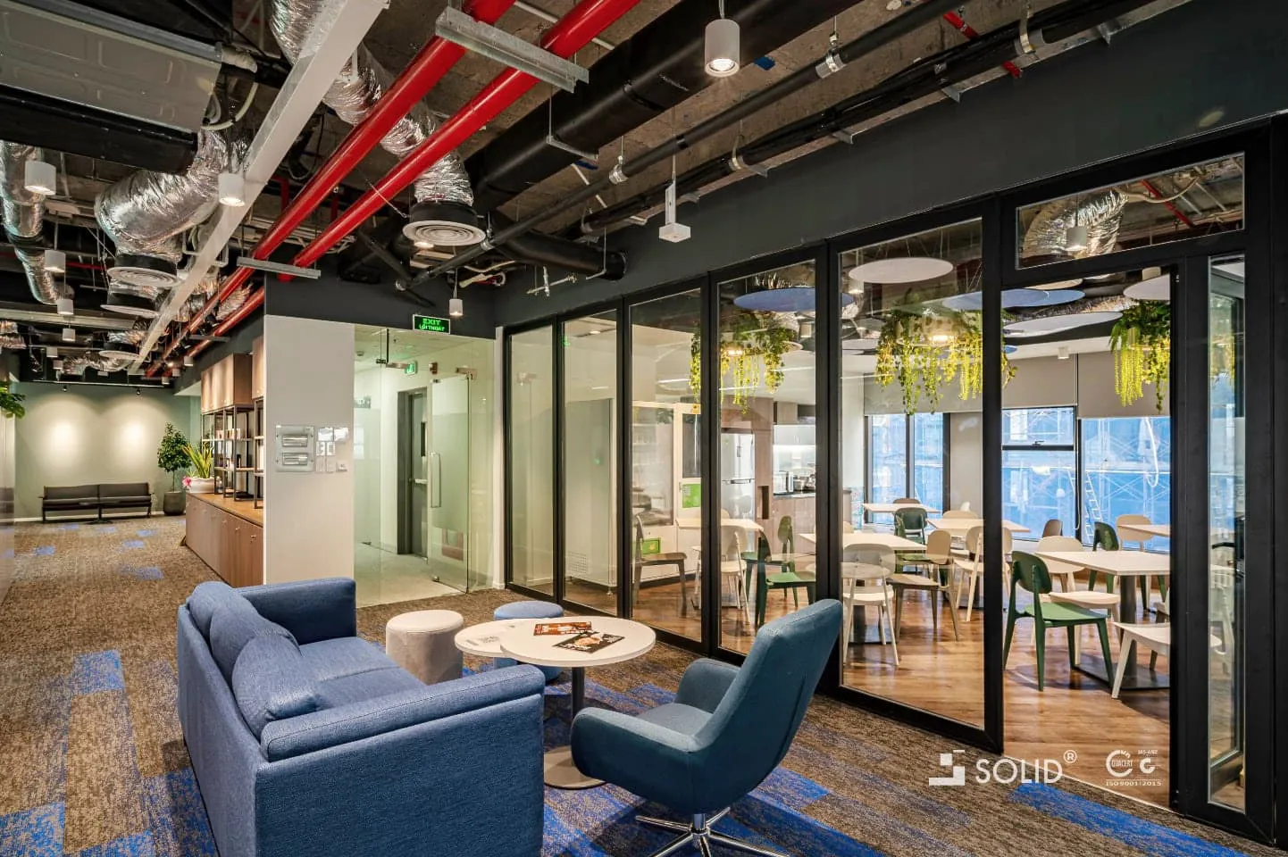 Vivi YinYang_SOLID 20_touch_web